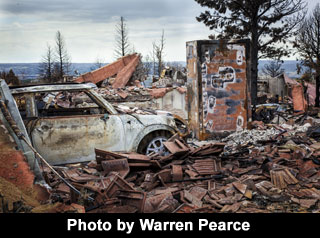 Photo by Warren Pearce Photo by Warren Pearce