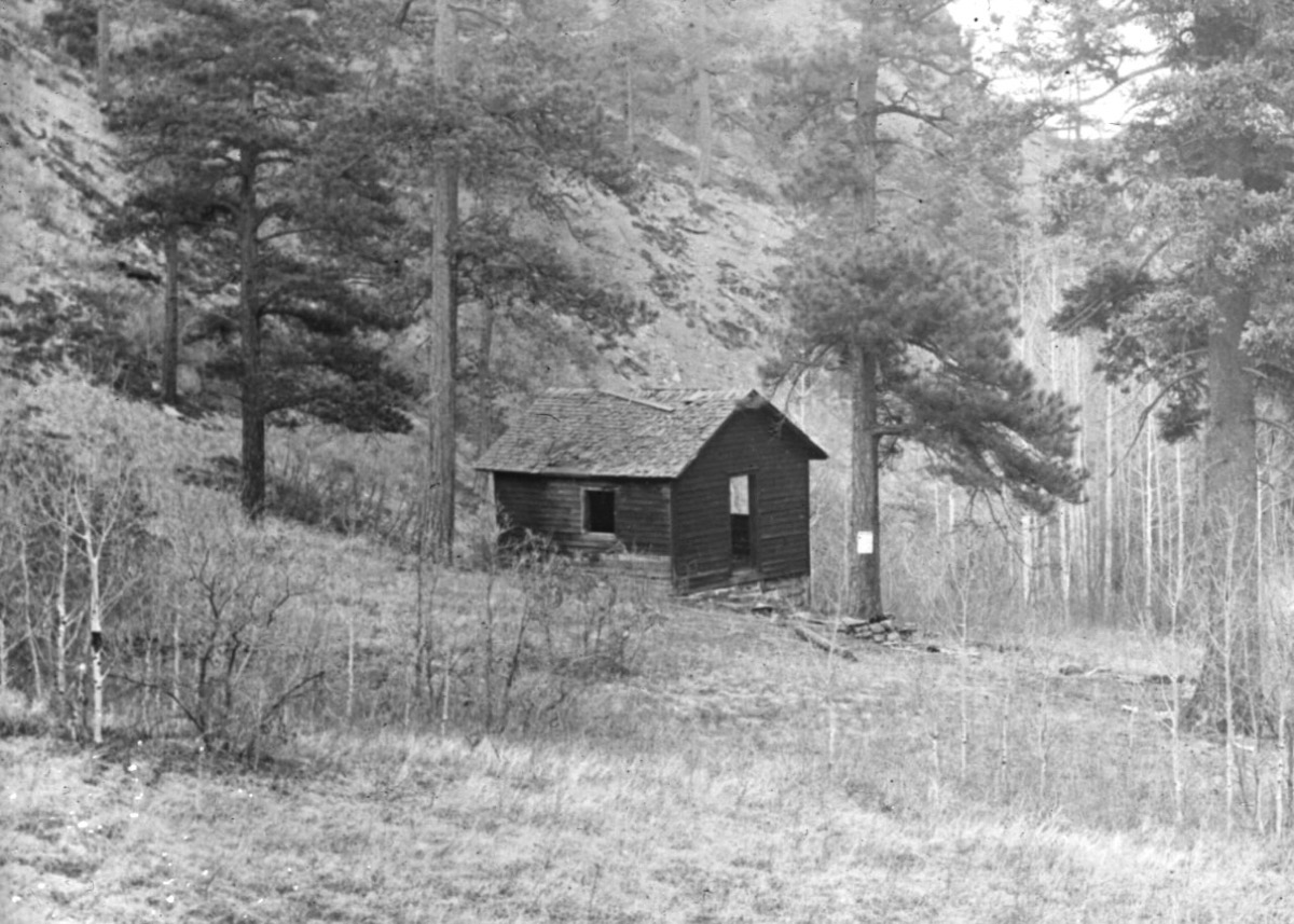 An old black and white photo of a small cabin in the middle of the forest