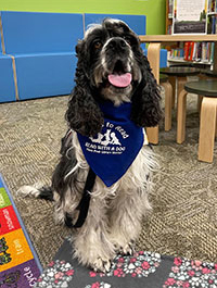 a photo of a Paws to Read dog named Bowie