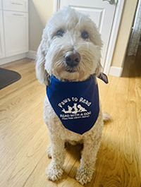 a photo of a Paws to Read dog named Teddy