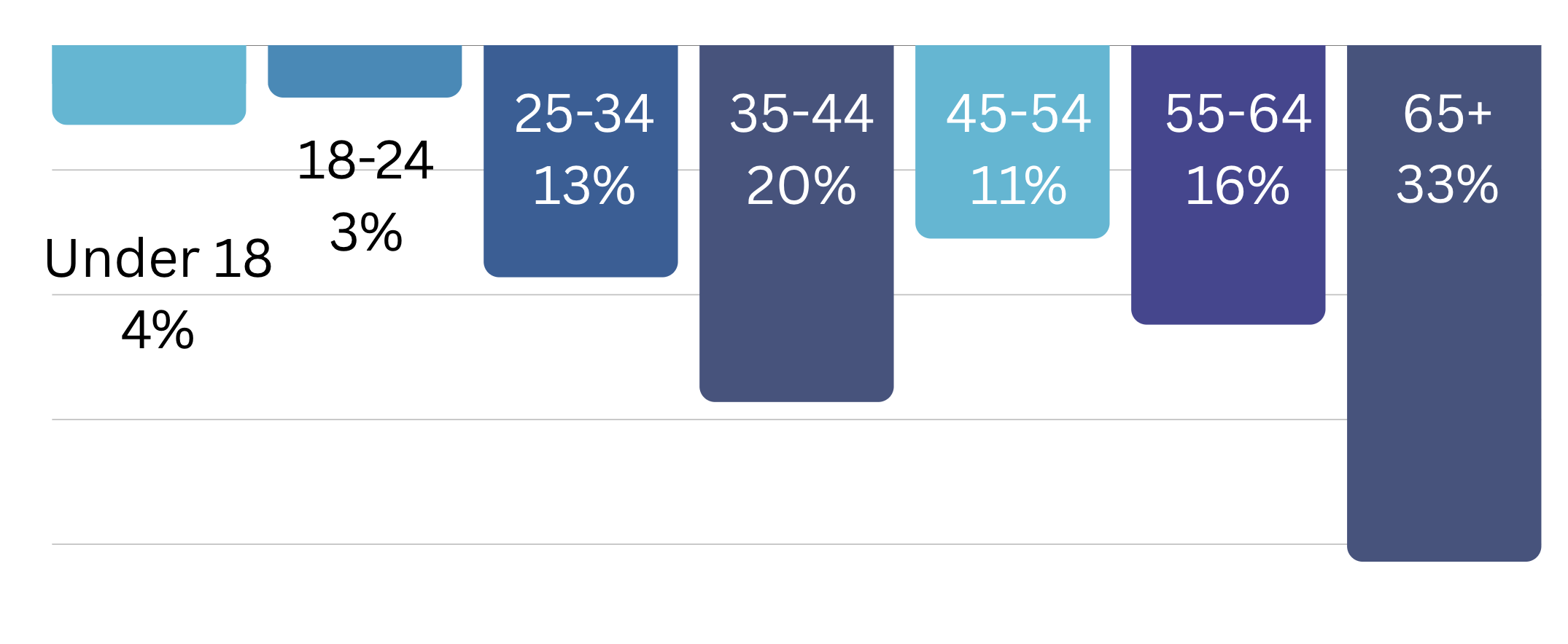 Table depicting the age demographics of people coming to the website. 65+ is the highest demographic at 32%