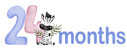The number 24, with a cute baby zebra next to the number and the text 'months'