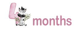 The number 4, with a cute baby zebra next to the number and the text 'months'