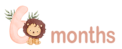 The number 6, with a cute baby lion next to the number and the text 'months'