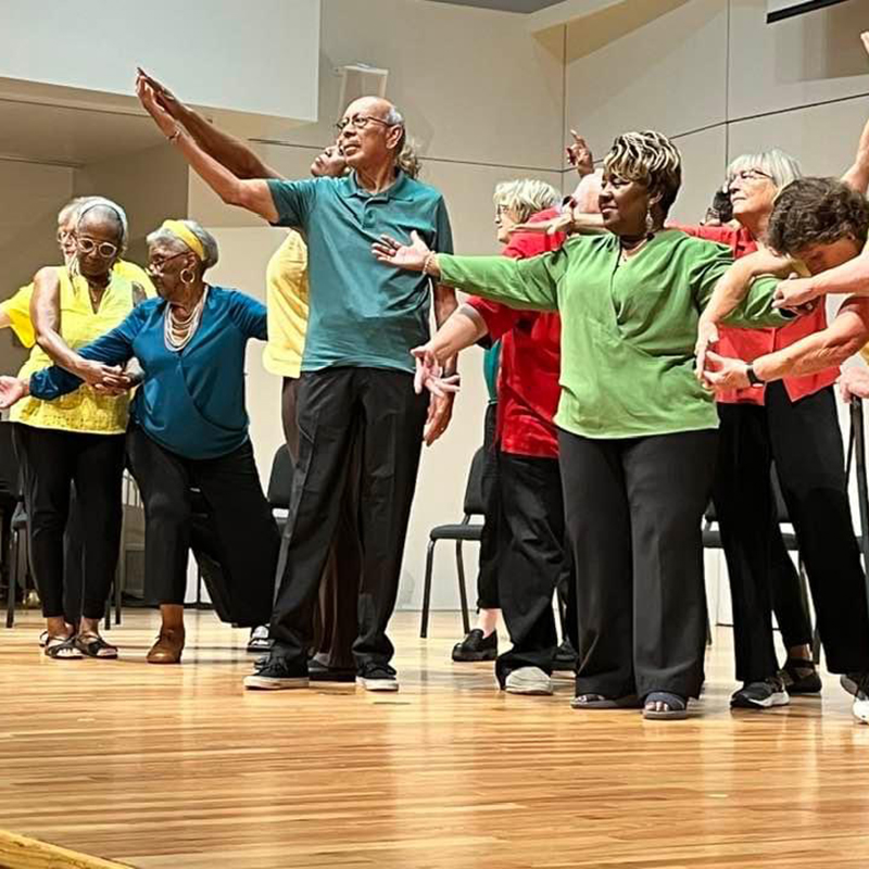 Dancing Your Stories Performance by the Elder Dance Group