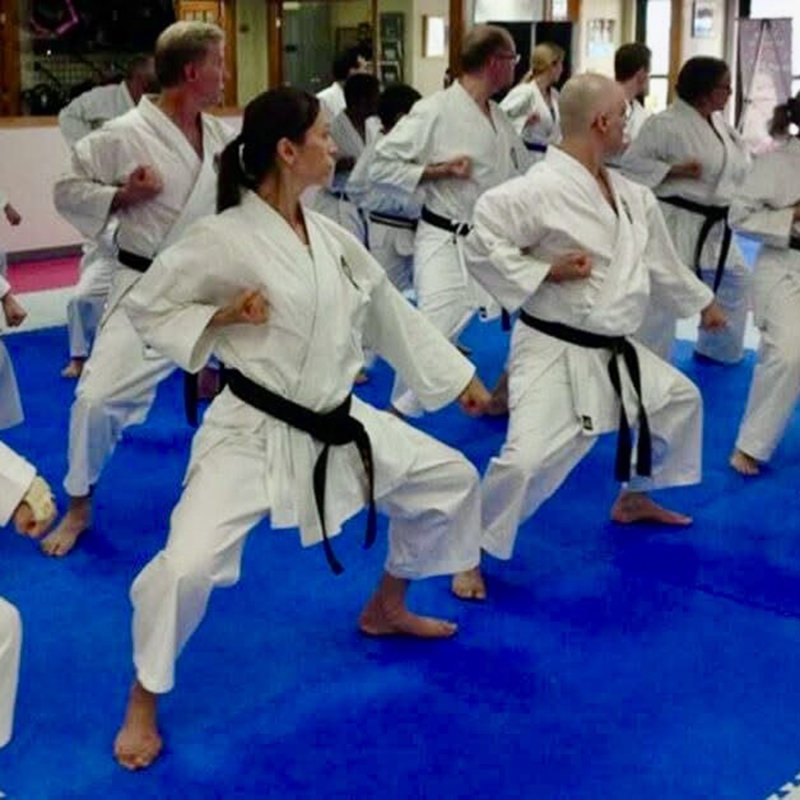 United States Karate Academy