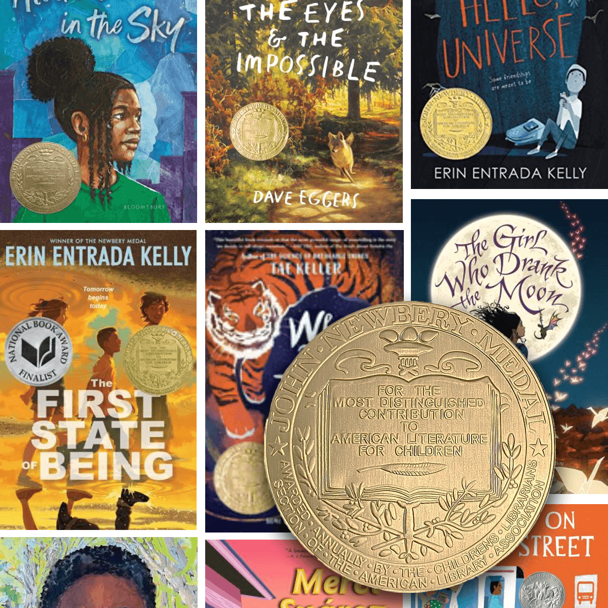 A collection of Book covers of newbery award books