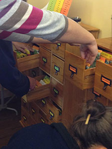 High Prairie Library Launches Seed Library High Prairie Library Launches Seed Library