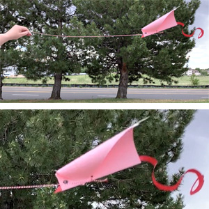 Kids Make: DIY Kites Kids Make: DIY Kites