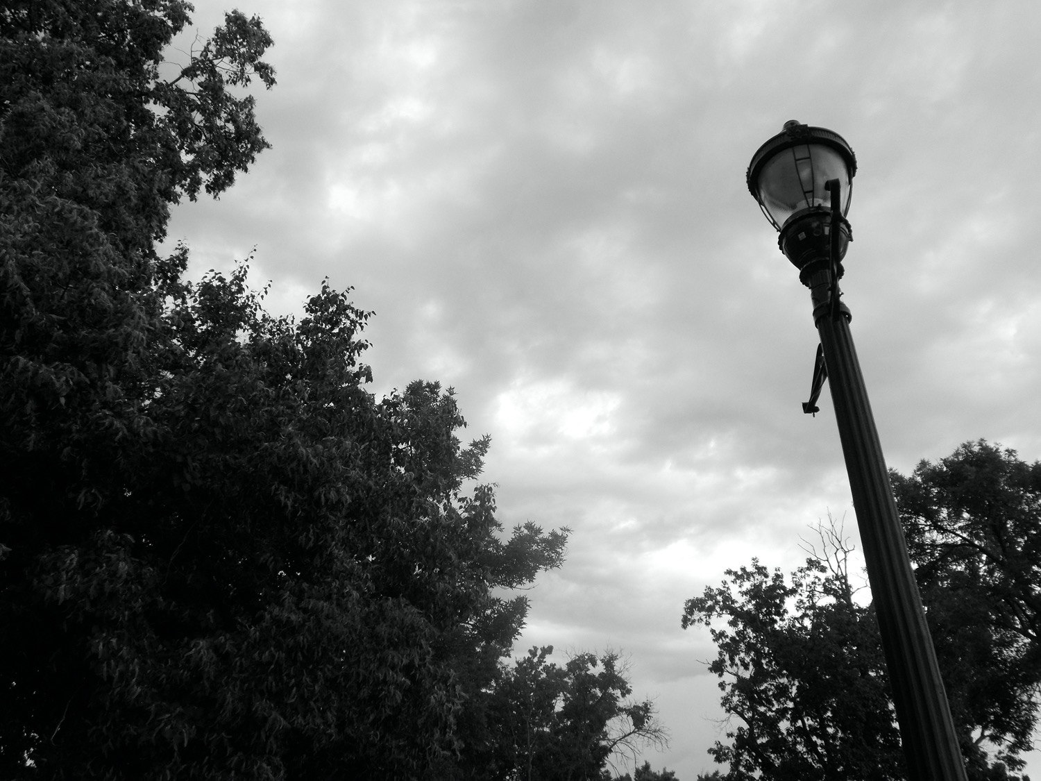 Black and White photo of City Lamp post