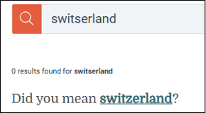 Screenshot of a search bar illustrating a typo