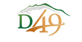 D49 Logo