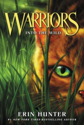 An orange cat with green eyes in the grass