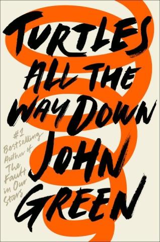 Turtles All the Way Down book jacket