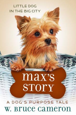 Max’s Story book jacket