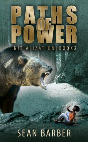 Book cover for Initialization, Book 2 (Paths of Power series)