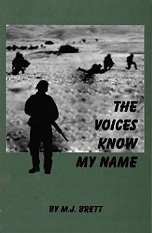 Book cover for The Voices Know My Name by M.J. Brett