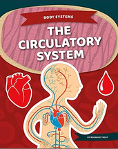 Circulatory System