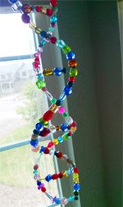 Kids STEM: DNA Spiraling Suncatcher