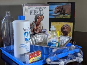 Kids STEM:Hippopotamus Toothpaste