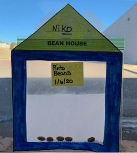 Homeschool: Bean Germination Experiment 