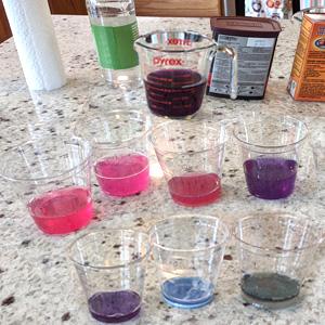 Kids Stem: Cabbage Juice Chemistry